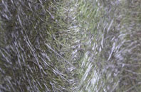 Little Waltham fibreglass roof work